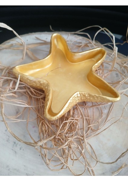 Büyük Boy Deniz Yıldızı Tabak & Makyaj Organizer Diş Fırçalık indirimleri