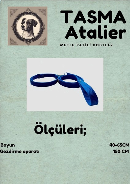 Büyük Boy Gezdirmeli Köpek Tasması fırsatları