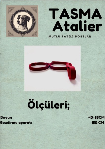 Büyük Boy Gezdirmeli Köpek Tasması