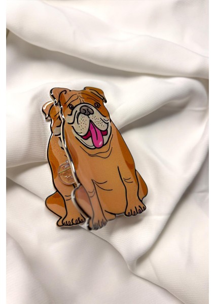 Bulldog Asetat Kadın Mandal Toka modelleri