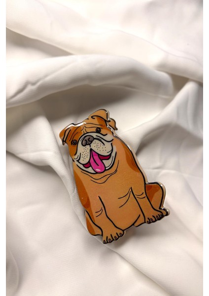 Bulldog Asetat Kadın Mandal Toka fırsatları