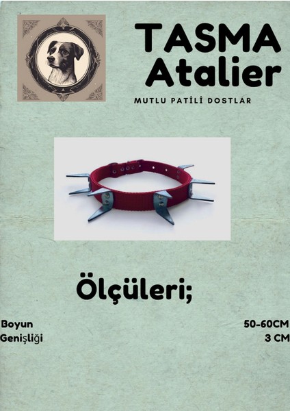 Büyük Boy Dikenli Köpek Tasması