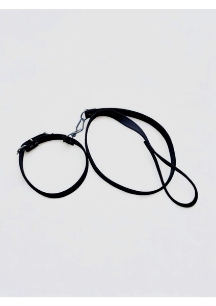 Büyük Boy Gezdirmeli Köpek Tasması fiyatları