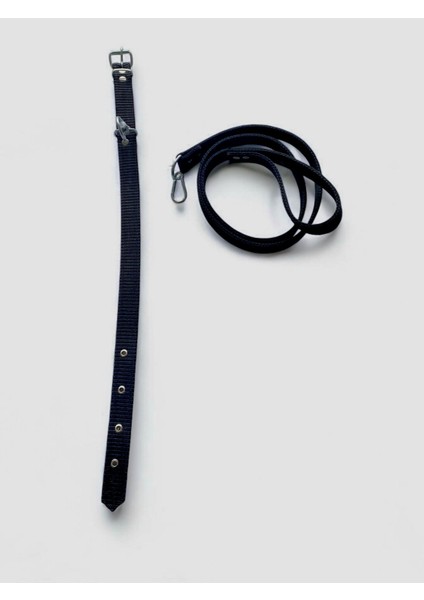 Büyük Boy Gezdirmeli Köpek Tasması modelleri