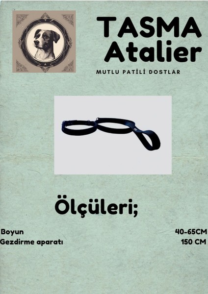 Büyük Boy Gezdirmeli Köpek Tasması fırsatları