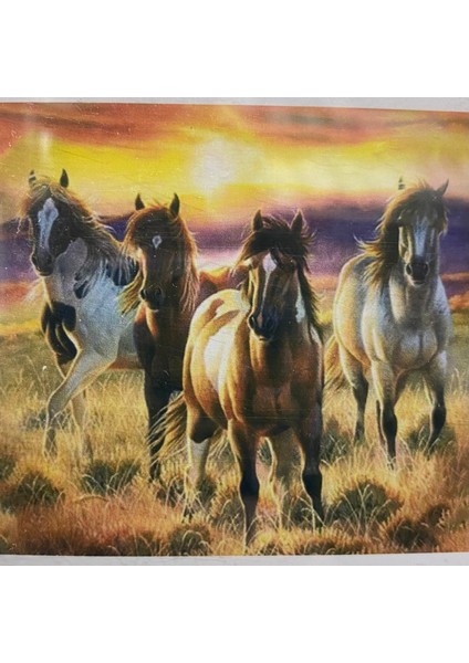 5d Yapışan Boncuk Goblen Mozaik Tablo Pano 40 x 50 cm 77082