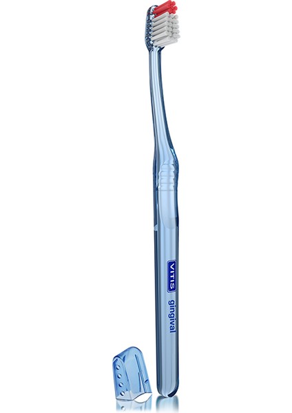 Gingival Diş Fırçası (Hassas Dişetleri Için)