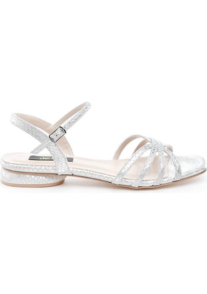 Bilekten Bantlı Babet