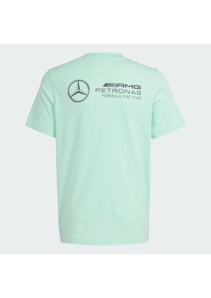 Mercedes Amg Petronas Formula One Team Pw Graphic Çocuk Tişört fiyatları