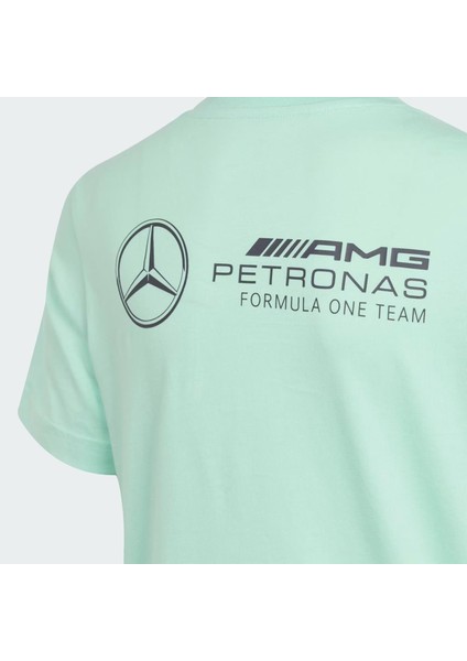 Mercedes Amg Petronas Formula One Team Pw Graphic Çocuk Tişört indirimleri