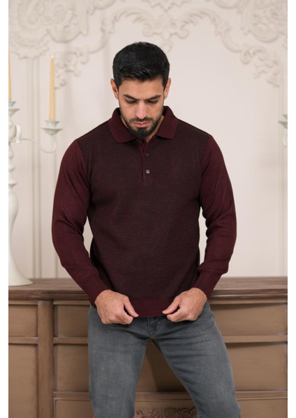 Polo Yaka Armürlü Yünlü Erkek Triko Kazak