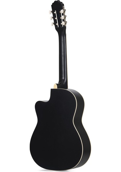 RCG120 Klasik Gitar