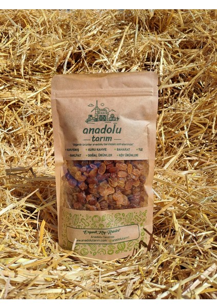 Sarı Üzüm Çekirdeksiz 500G