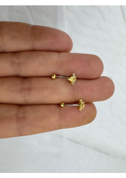 Çelik Barlı Zirkon Taşlı Arılı Rook Piercin ( 1 Adet ) fiyatları