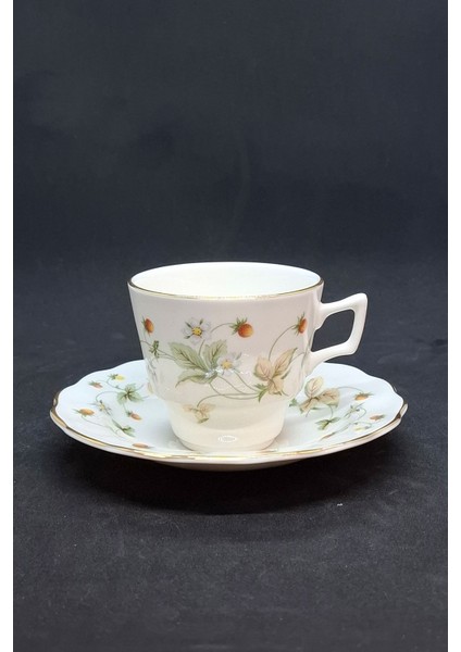 Çilek Kreması Fine China Vintage Duble Kahve Fincanı 2 Parça 180 ml