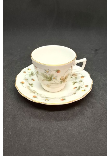 Çilek Kreması Fine China Vintage Duble Kahve Fincanı 2 Parça 180 ml fiyatları