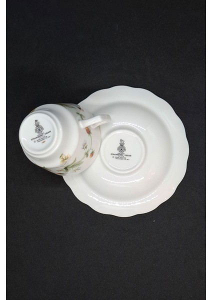 Çilek Kreması Fine China Vintage Duble Kahve Fincanı 2 Parça 180 ml fırsatları
