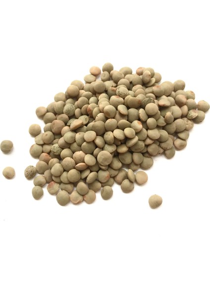 Yeşil Mercimek 1 kg fiyatları