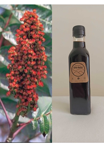 Sumak Ekşisi 650 gr