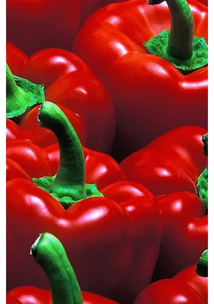 Gün Kurusu El Yapımı Tatlı Biber Salçası 1500 gr