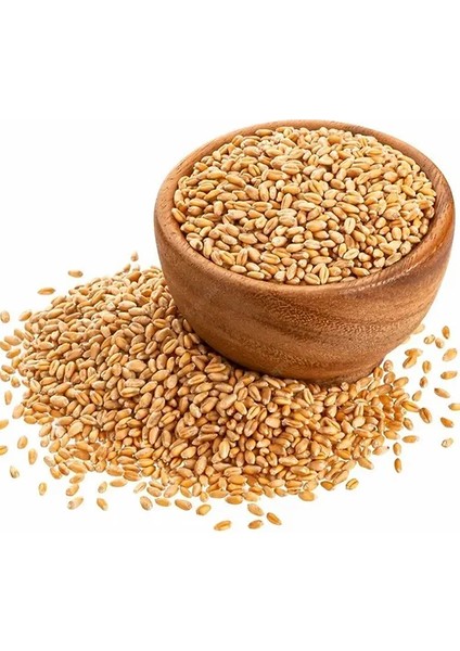 Atalık Sarı Buğday Kepekli Tam Buğday Unu 1 kg fiyatları