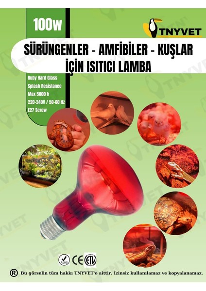 100 Watt Kızılötesi / Kırmızı Işık Isıtıcı Lambalar Sürüngenler, Amfibiler Ve Kuşlar Için