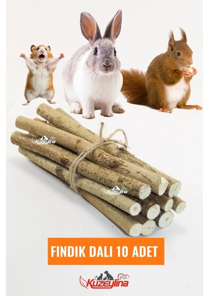 Kemirgenler Için Fındık Dalı - 10 Adet