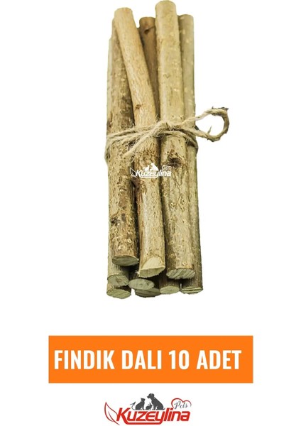 Kemirgenler Için Fındık Dalı - 10 Adet fiyatları