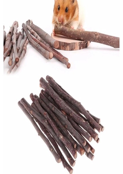 Kemirgenler Için Elma Ağacı Dalı 15 Adet