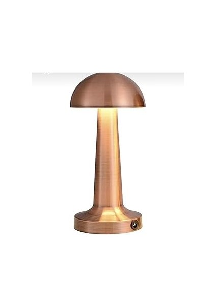 A Masa Lambası CT-8430 Tek Anahtarla 3 Renk 61196