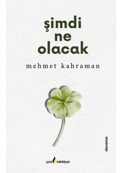 Şimdi Ne Olacak - Mehmet Kahraman