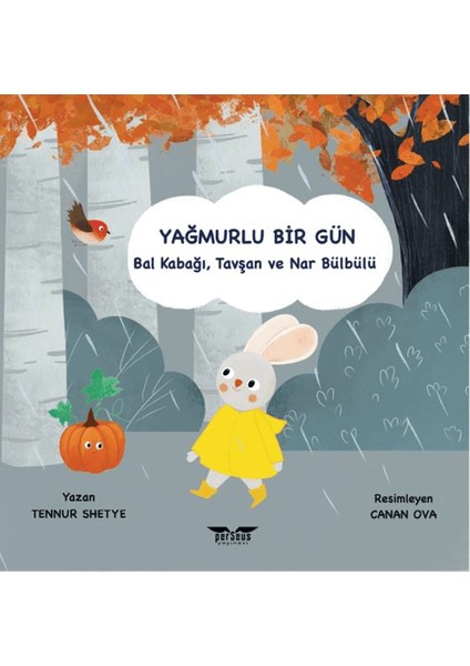 Yağmurlu Bir Gün - Tennur Shetye