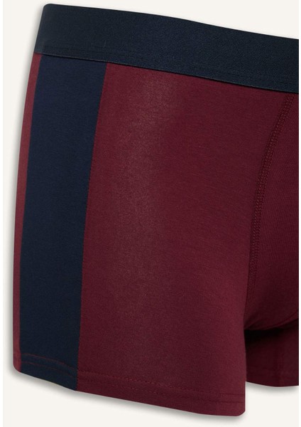 Regular Fit 3'lü Boxer E2917AX25SP