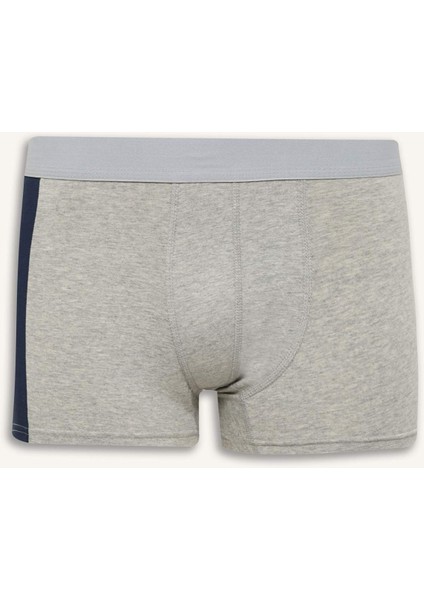 Regular Fit 3'lü Boxer E2917AX25SP