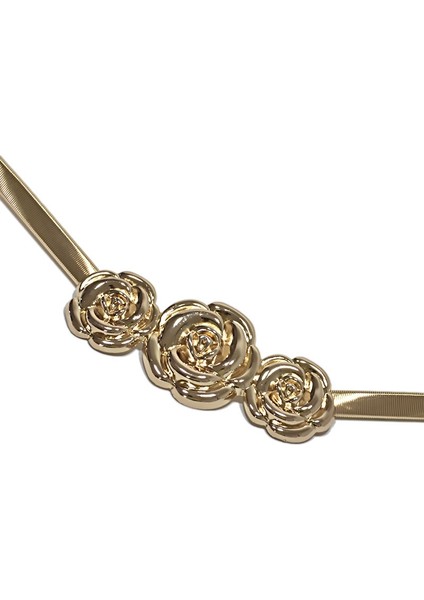 Yeni Benzersiz Altın Toka Esnek Kemer Kadın Moda Ince Metal Kemerler Kadın Kot Elbise Kemer Marka Tasarım 2022 (Yurt Dışından) indirimleri