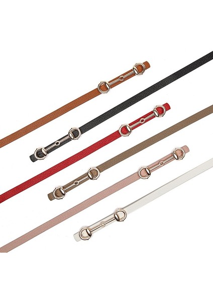 Yeni Horsebit Altın Tokalı Kemer Kadın Moda Ince Pu Kemerler Kadın Kot Elbise Marka Tasarım Kemer 2021 (Yurt Dışından) fırsatları