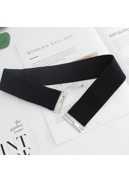 Lookloland Kadınlar Için Kemerler Elbiseler Streç Bel Kemeri Geniş Elastik Korse Kemer Slim Fit Benzersiz Zarif Aksesuarlar (Yurt Dışından) fırsatları