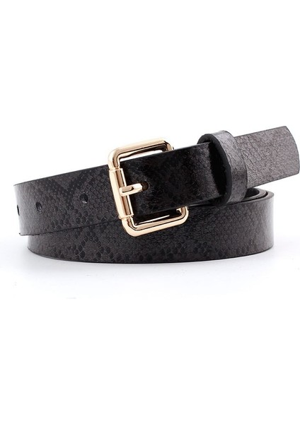 Yeni Kadın Wnakeskin Kemer Yüksek Kaliteli Kadın Pu Deri Kemer Sıcak Tasarımcı Elbise Cinto Feminino 2.3 cm Geniş (Yurt Dışından) fiyatları