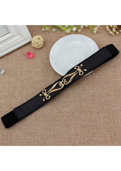 Altın Toka Ince Kemerler Kadınlar Için Vintage Ilkbahar Yaz Elastik Bel Kemeri Moda Elbise Dekoratif Kemer (Yurt Dışından) fiyatları