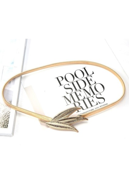 Zarif Kadın Kemer Basit Metal Bahar Ince Zincir Kemer Bayan Elbise Sıska Kemer Dekoratif Elastik Bel Zincir Kuşak (Yurt Dışından) fırsatları