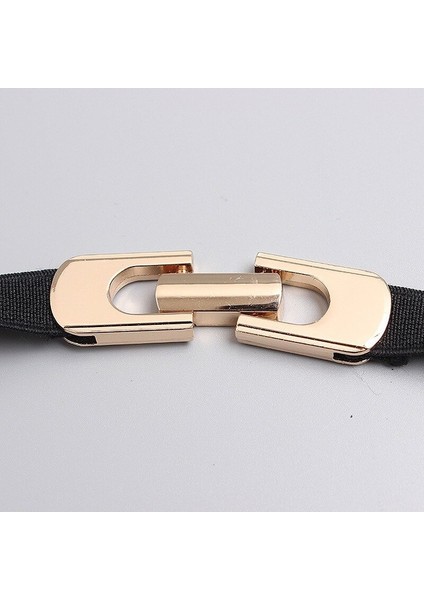 Lookloland Yüksek Kaliteli Metal Bayanlar Moda Elastik Ince Kemer Bel Zinciri Takım Elbise Elbise Altın Dekorasyon Kemerler Kadınlar Için Lüks Tasarımcı Marka (Yurt Dışından)