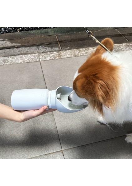 Xopıurıfı Su Bardaklarına Eşlik Eden Köpek, Açık Havada Tnabilir Seyahat, Katlanabilir Su Şişeleri, Çeşmeler, Evcil Hayvan Malzemeleri, Köpek Gezdiricileri, Evcil Hayvan Malzemeleri (Yurt Dışından) fiyatları