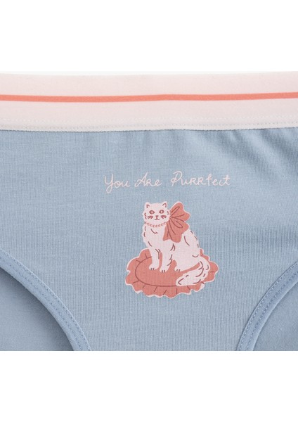 Pamuklu Kedi Baskılı Brief Kadın Külot