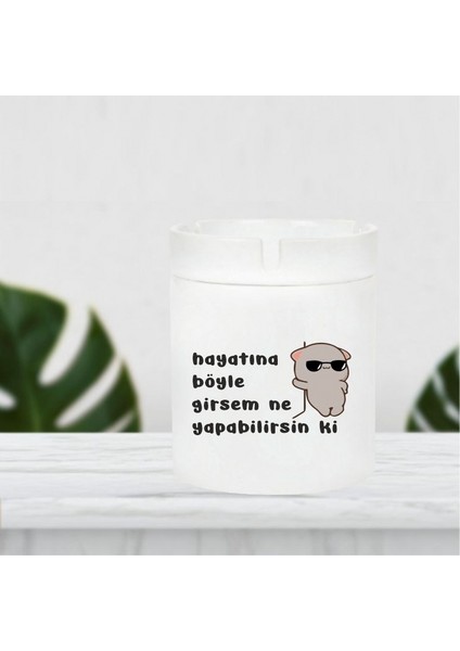 Hayatına Böyle Girsem Ne Yapabilirsin Ki Küllük