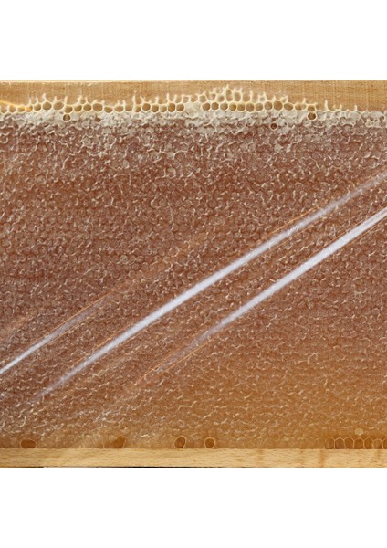 MühendisARI Petek Bal - 1,5 kg fiyatları