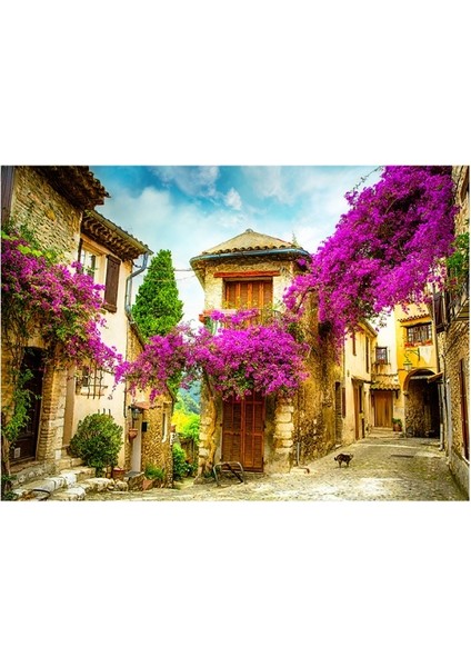 2 Adet 1000 Parça Puzzle - Sahil Manzarası ve Provence modelleri