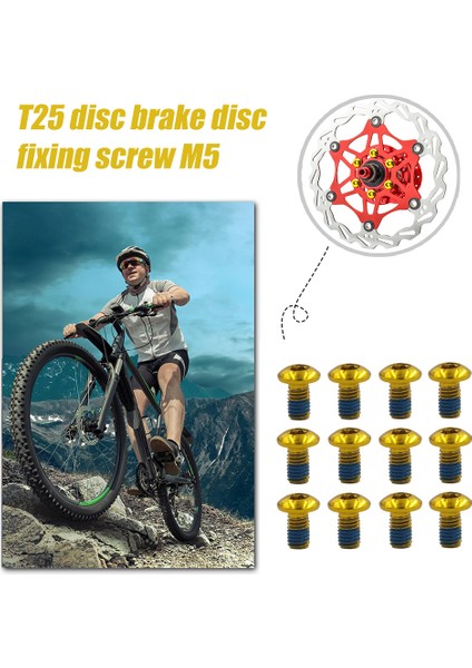 Siyah 12 Adet Tarzı Mtb Teel Bisiklet Disk Renkli Kaymaz Drew Bisiklet Disk Fren Rotor Cıvataları T25 Torx Vidaları Dağ Bisikleti Aksesuarı (Yurt Dışından)