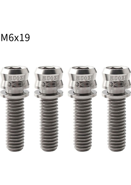 M6-19 Gümüş Tarzı Muqzı Bisiklet Disk Fren Vidaları M6 * mm Mtb Yol Bisikleti Direksiyon Gövdesi Vida Titanyum Alaşımı Mekanik Kaliper Sabitleme Civatası (Yurt Dışından)