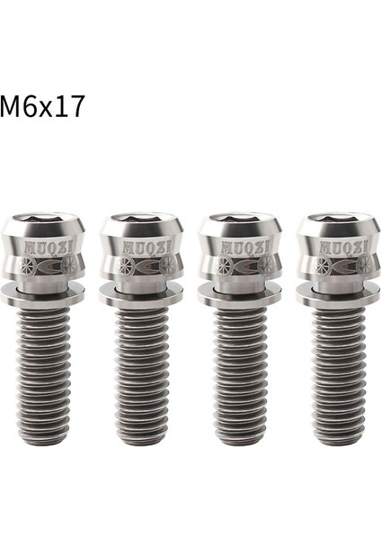 M6-17 Gümüş Tarzı Muqzı Bisiklet Disk Fren Vidaları M6 * mm Mtb Yol Bisikleti Direksiyon Gövdesi Vida Titanyum Alaşımı Mekanik Kaliper Sabitleme Civatası (Yurt Dışından)