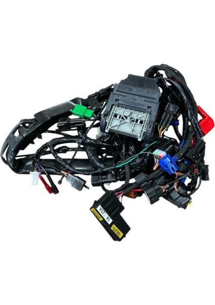 Raider 125 Elektrik Tesisatı Orijinal